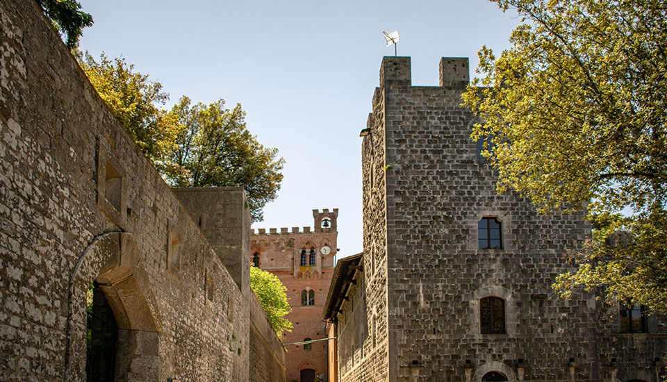 Tuscan Tours