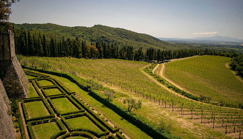 Chianti tour with lunch